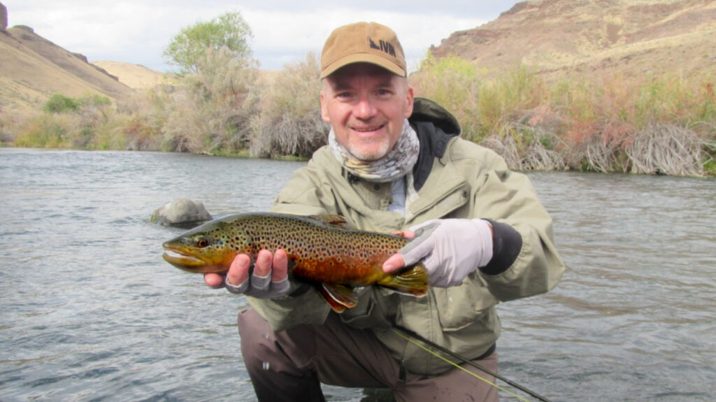 Favorite Flies for Brown Trout