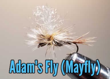 Adams Fly Mayfly Pattern
