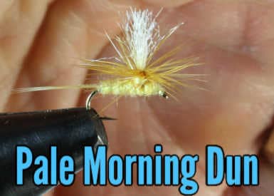Pale Morning Dun Fly Pattern