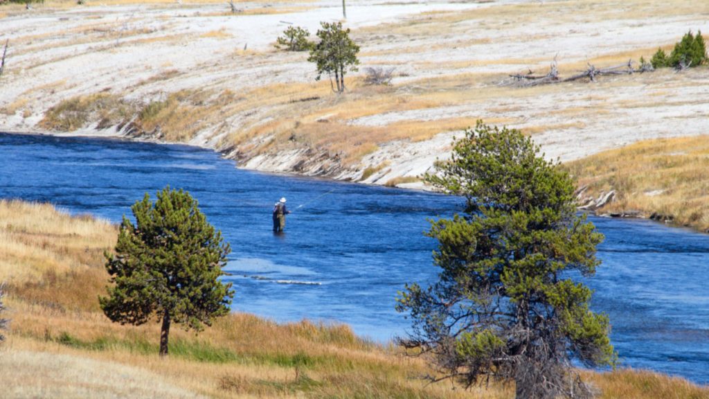 Where to fly fish in Montana