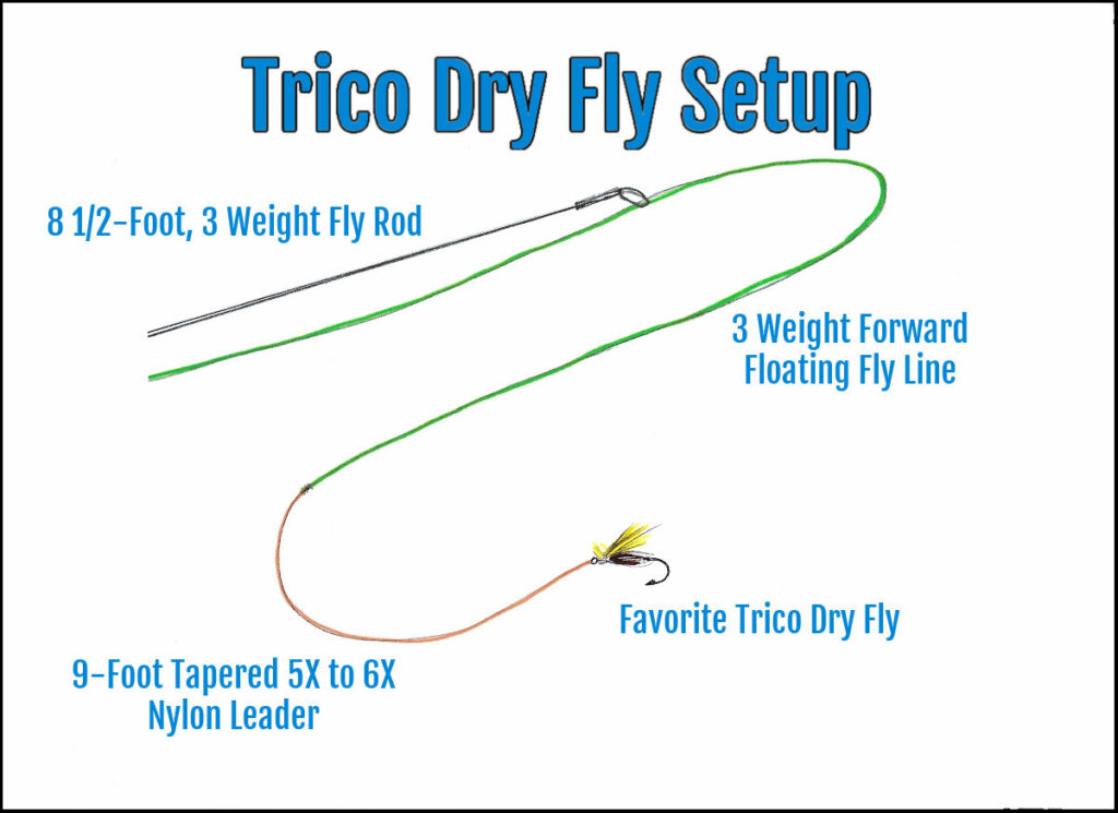 Dry fly setup for Trico flies