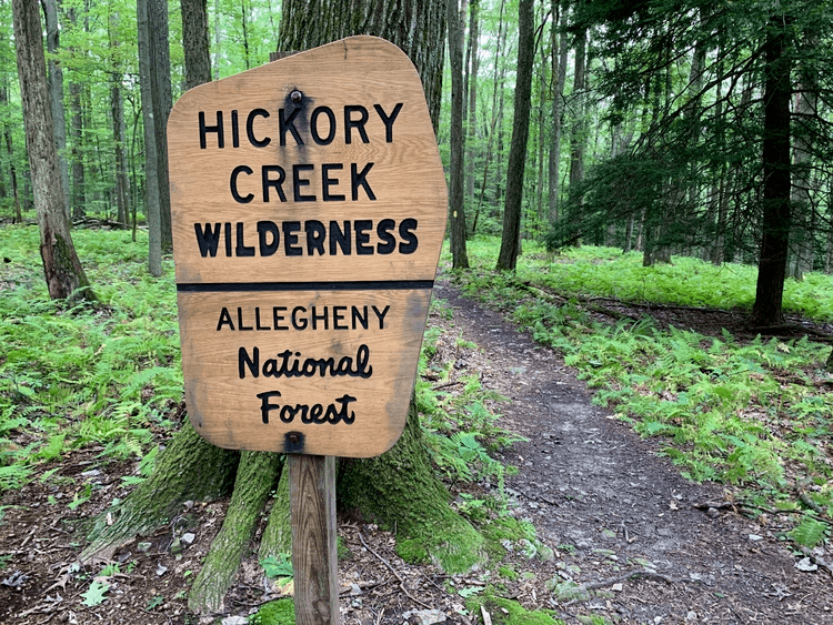 Hickory Creek Wilderness Allegheny National Forest