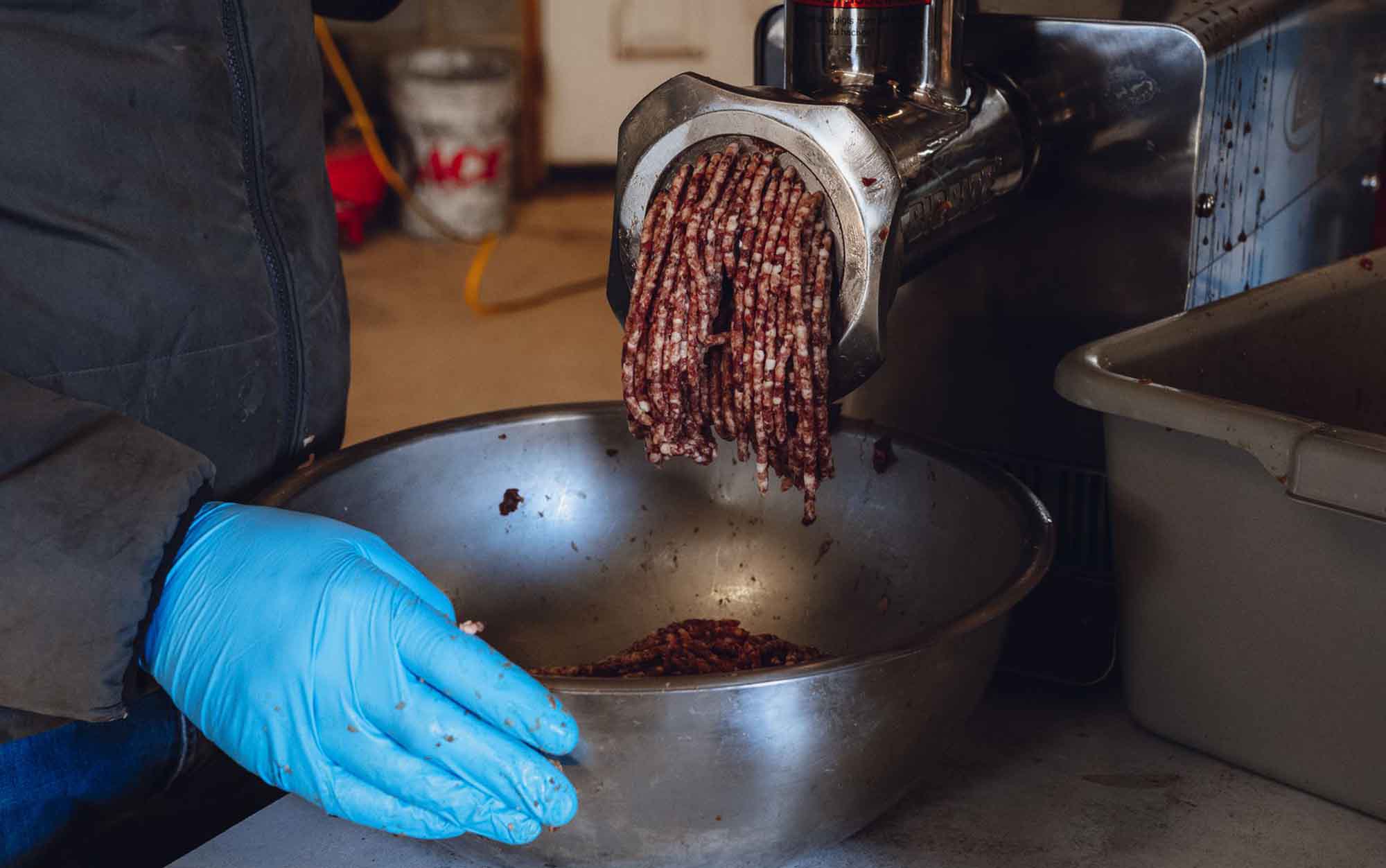Man puts seasoned venison through a meat grinder.